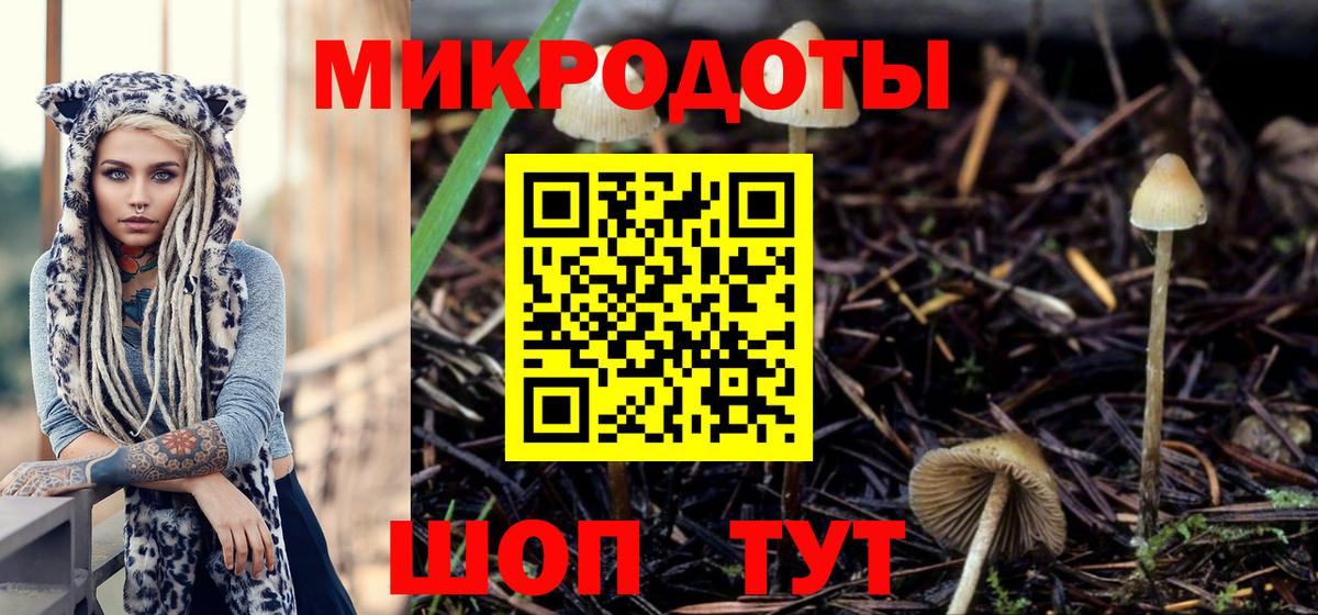 Галлюциногенные грибы мухоморы Александров