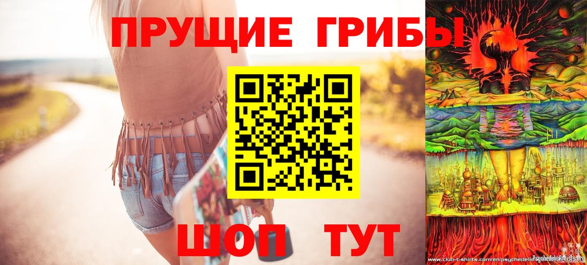 Александров  Псилоцибиновые грибы Psilocybe  как найти закладки  Вход с VPN 